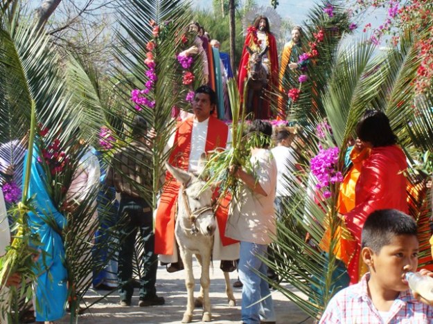 palm-sunday-message-donkey_1363605492