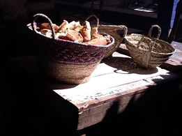 183496_159820980825930_243873873_n